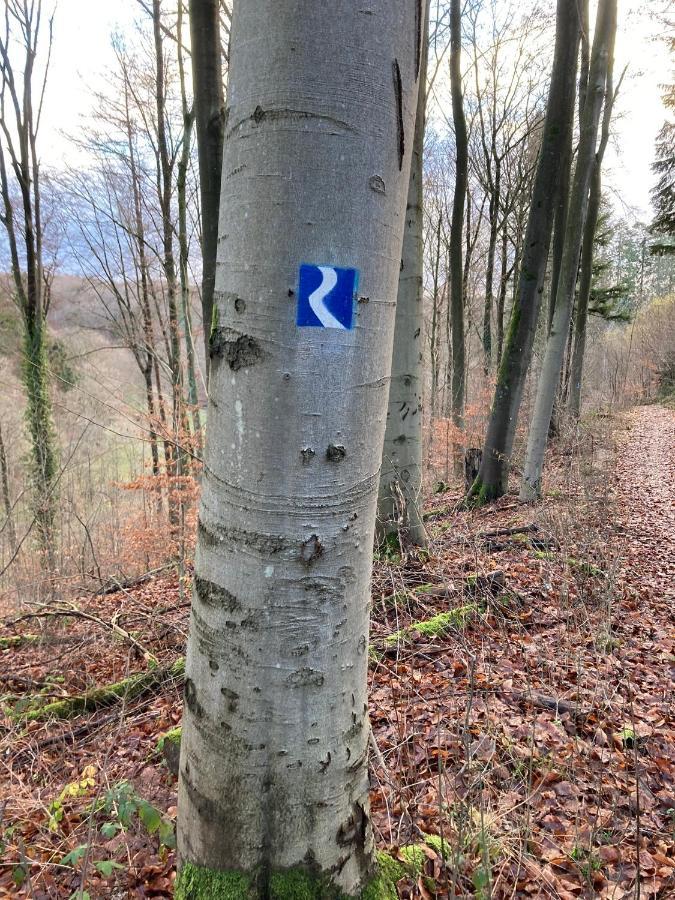 Wohnung Rhein-Wald-Und Weitsicht Rengsdorf Eksteriør bilde